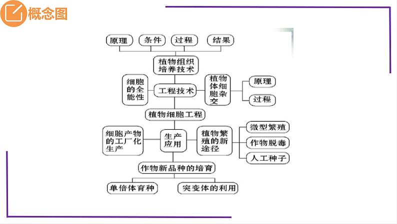 精讲77 植物细胞工程-【备战一轮】最新高考生物一轮复习名师精讲课件05