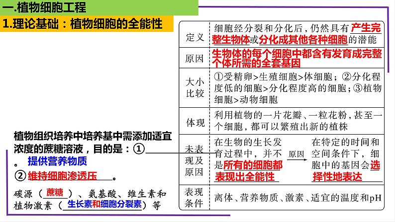 精讲77 植物细胞工程-【备战一轮】最新高考生物一轮复习名师精讲课件08