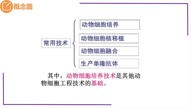 精讲78 动物细胞工程-【备战一轮】最新高考生物一轮复习名师精讲课件05