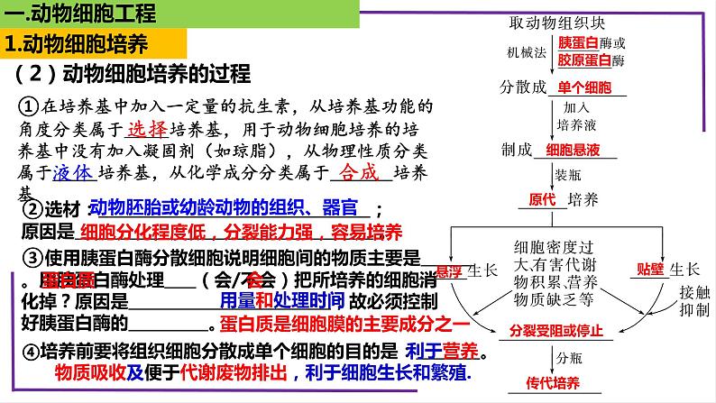 精讲78 动物细胞工程-【备战一轮】最新高考生物一轮复习名师精讲课件08