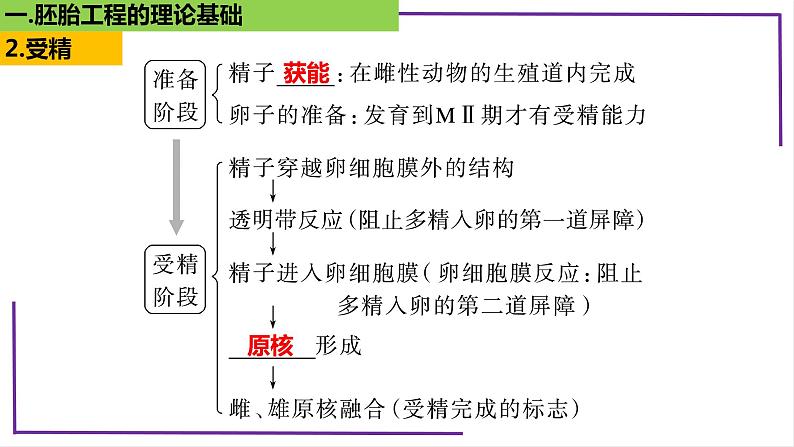 精讲79 胚胎工程-【备战一轮】最新高考生物一轮复习名师精讲课件第7页