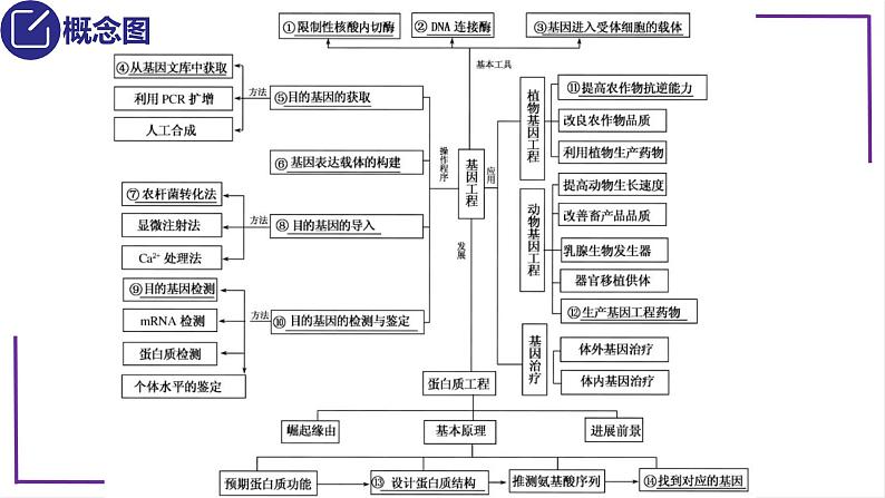 精讲80 基因工程的基本操作程序-【备战一轮】最新高考生物一轮复习名师精讲课件05