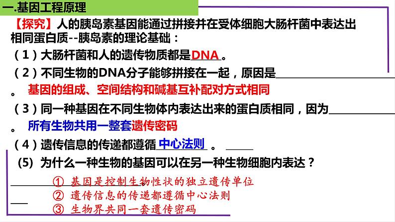 精讲80 基因工程的基本操作程序-【备战一轮】最新高考生物一轮复习名师精讲课件08