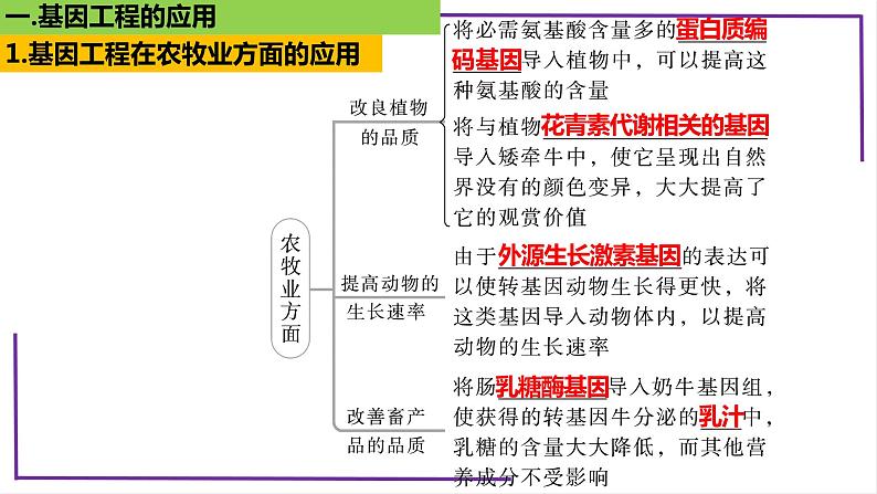 精讲81 基因工程应用和蛋白质工程-【备战一轮】最新高考生物一轮复习名师精讲课件08