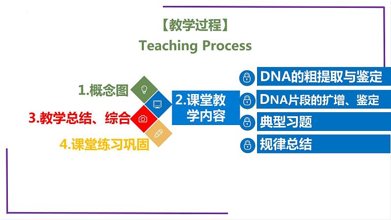 精讲82 DNA的粗提取与DNA片段的扩增和电泳鉴定-【备战一轮】最新高考生物一轮复习名师精讲课件04