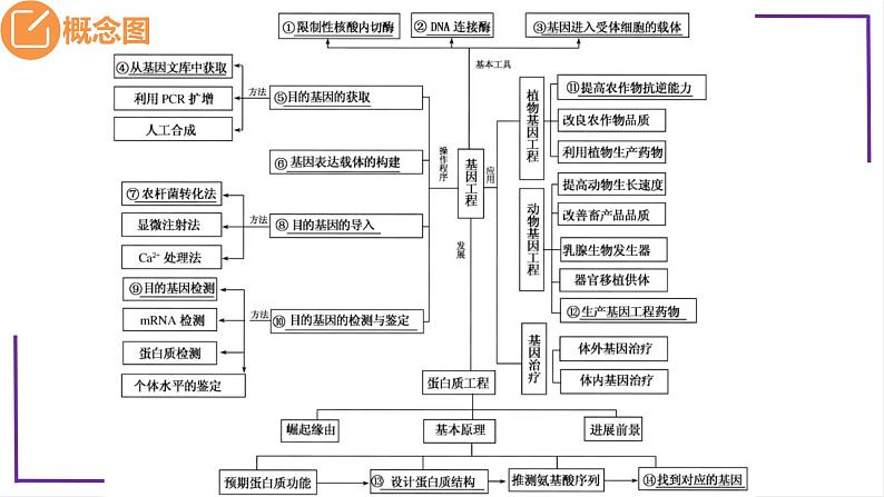 精讲82 DNA的粗提取与DNA片段的扩增和电泳鉴定-【备战一轮】最新高考生物一轮复习名师精讲课件05