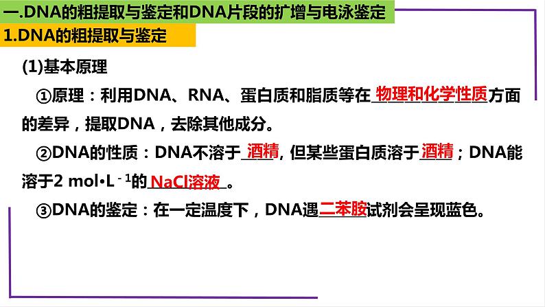 精讲82 DNA的粗提取与DNA片段的扩增和电泳鉴定-【备战一轮】最新高考生物一轮复习名师精讲课件06