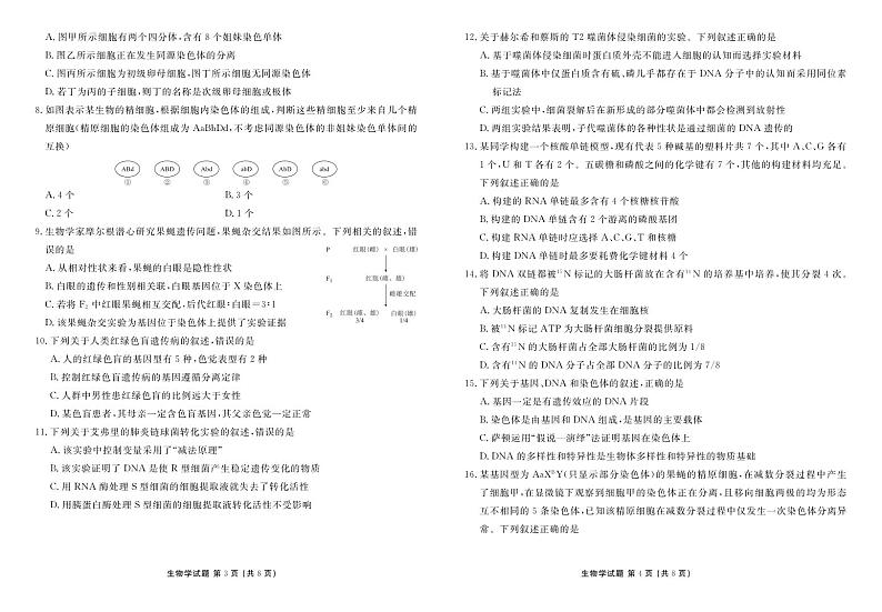 生物-广东省佛山市S6高质量发展联盟2023-2024学年高一下学期期中联考02