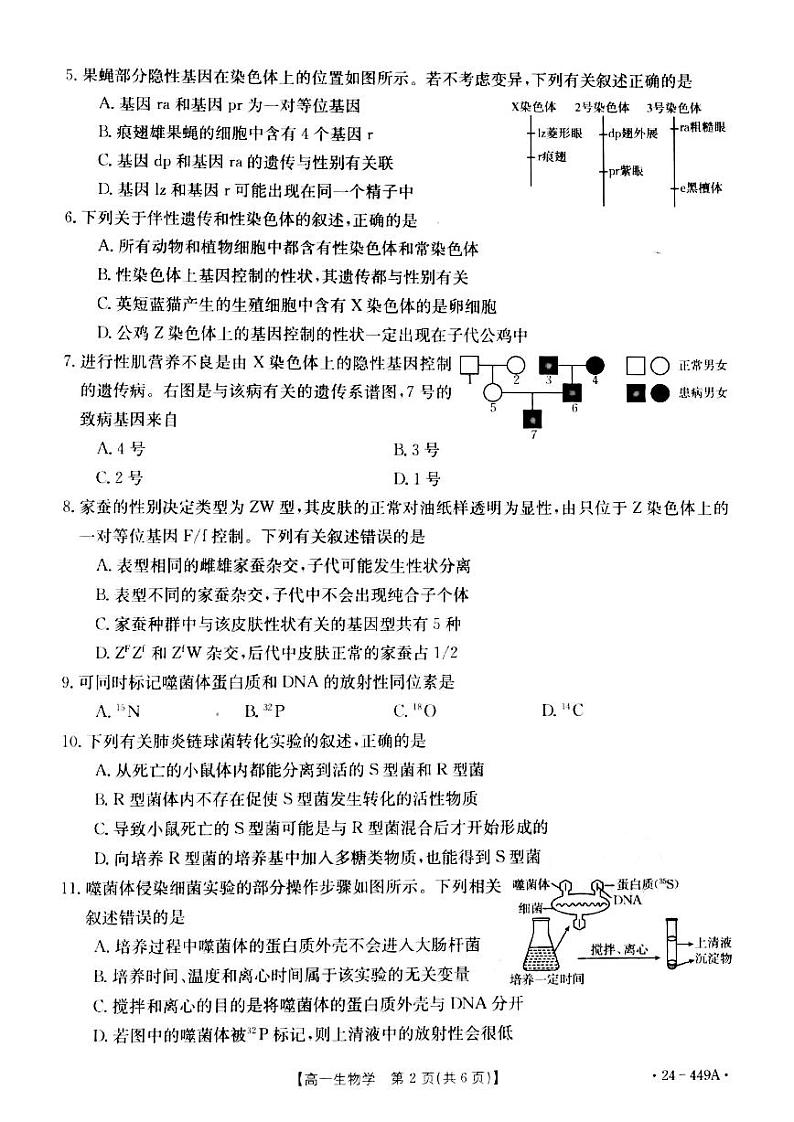 生物-河北省九校联盟2023-2024学年高一下学期期中考试题(金太阳449A)第2页