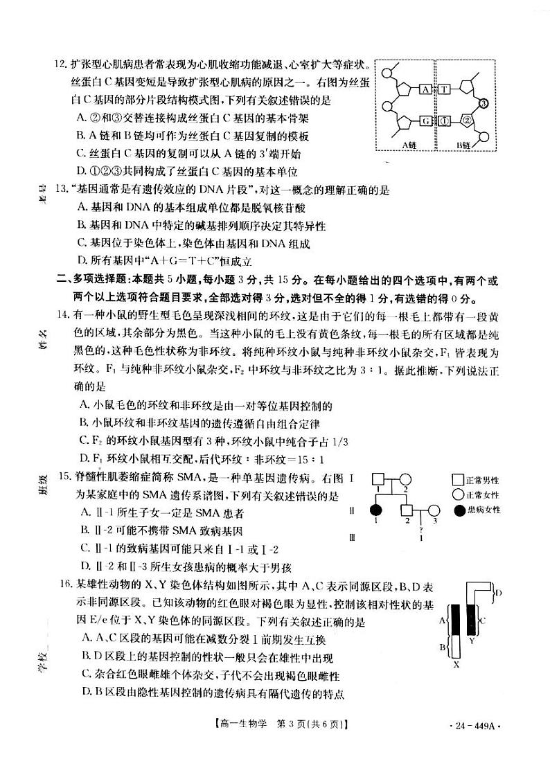 生物-河北省九校联盟2023-2024学年高一下学期期中考试题(金太阳449A)第3页