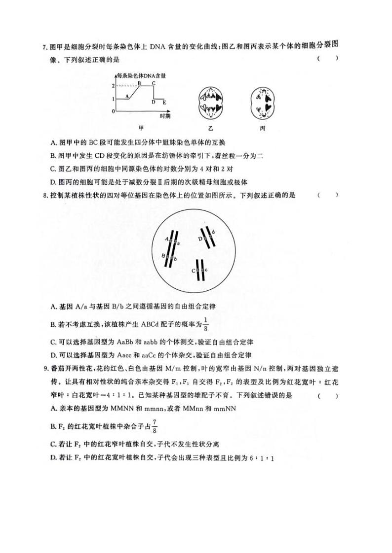 生物-河南省青桐鸣2023-2024学年高一下学期4月期中联考试题03