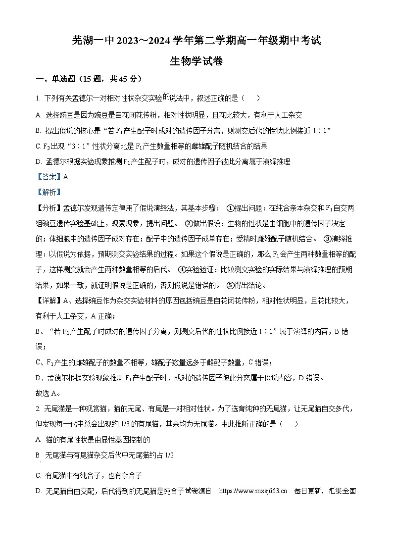安徽省芜湖市镜湖区芜湖市第一中学2023-2024学年高一下学期期中考试生物试题01