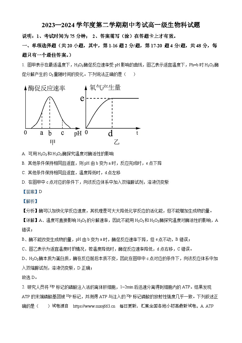 广东省江门市新会第一中学2023-2024学年高一下学期期中考试生物试题01