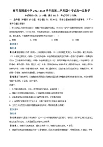 广东省汕头市潮阳黄图盛中学2023-2024学年高一下学期期中考试生物试题