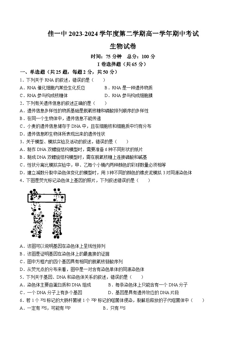黑龙江省佳木斯市郊区第一中学2023-2024学年高一下学期5月期中生物试题(无答案)01