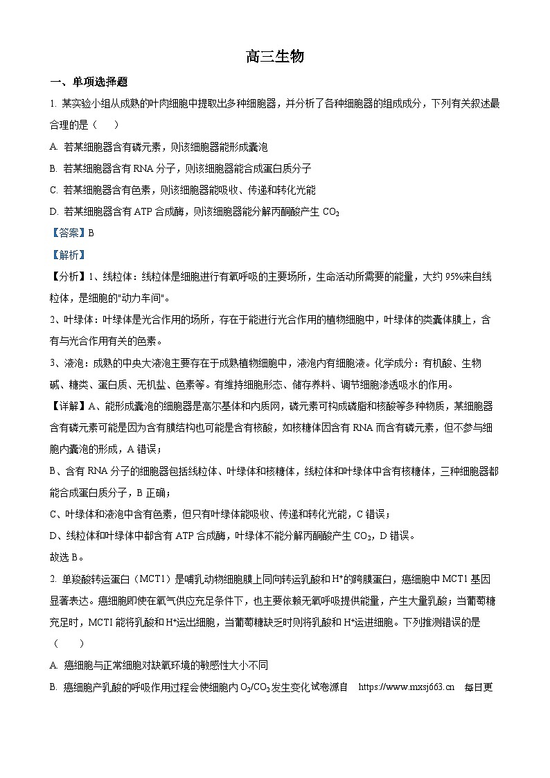 吉林省梅梅河口市第五中学2023—2024学年高三下学期二模考试生物试题01
