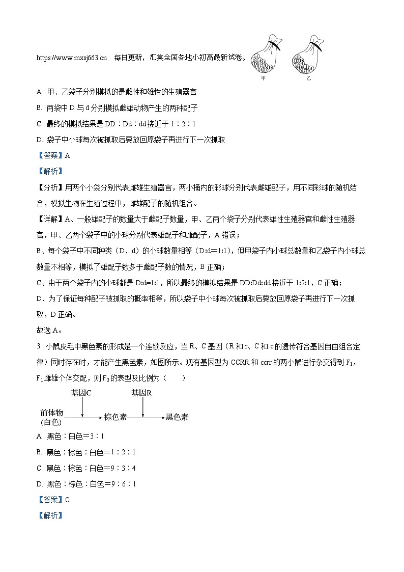 陕西省西安市蓝田县田家炳中学大学区联考2023-2024学年高一下学期4月期中生物试题03