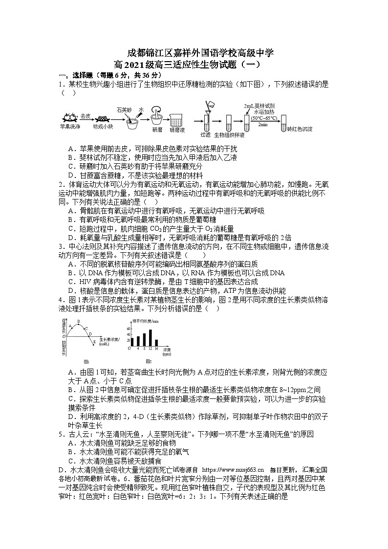 四川省成都锦江区嘉祥外国语高级中学2023-2024学年高三下学期第一次诊断性考试生物试题01