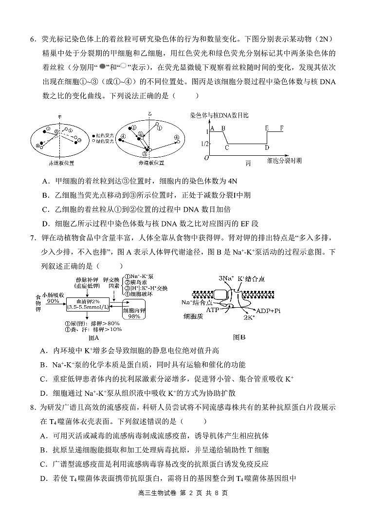 2024届江西师范大学附属中学高三下学期第三次模拟考试生物试卷第2页