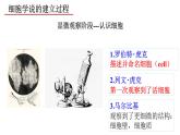 人教版（2019）必修一1.1 细胞是生命活动的基本单位课件