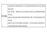 人教版（2019）必修一1.2 细胞的多样性和统一性课件
