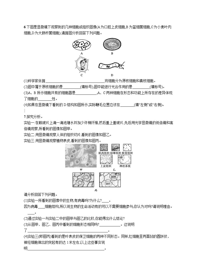 人教版（2019）必修一1.2 细胞的多样性和统一性专题练习（含答案解析）02