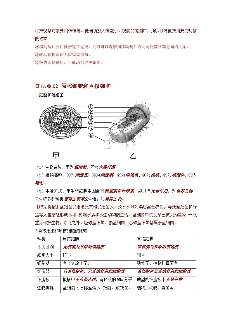 人教版（2019）必修一1.2 细胞的多样性和统一性知识清单02