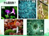 【核心素养】人教版高中生物必修一1.1《细胞是生命活动的基本单位》课件＋课时练习＋教案（含教学反思）