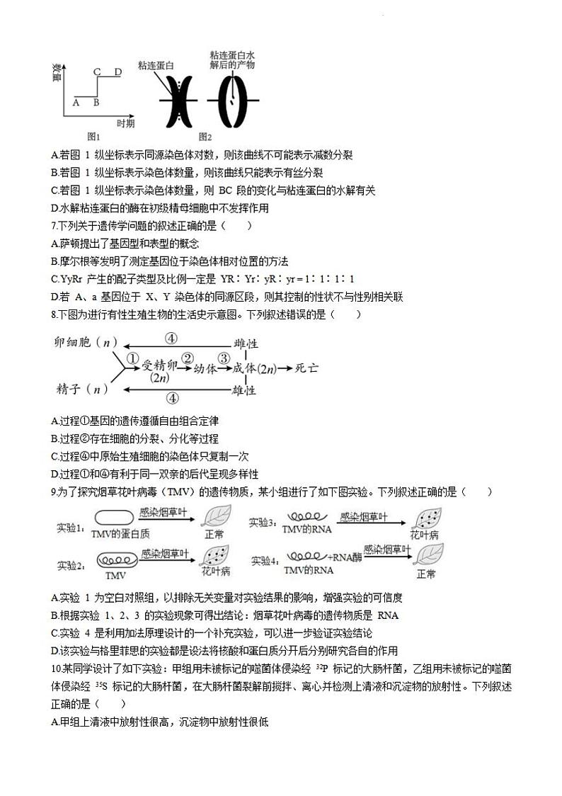 生物-山东省济宁市第一中学2023-2024学年高一下学期5月期中考试题02