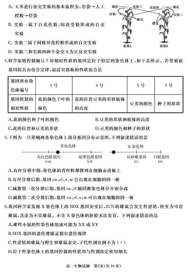 生物-山东省枣庄市滕州市2023—2024学年高一下学期4月期中试题02