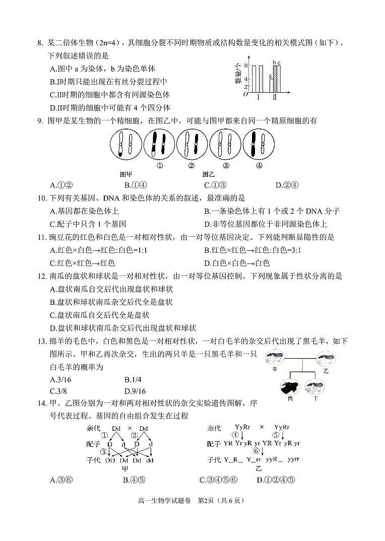 生物-四川省大数据学考大联盟2023-2024学年高一下学期期中考试题第2页
