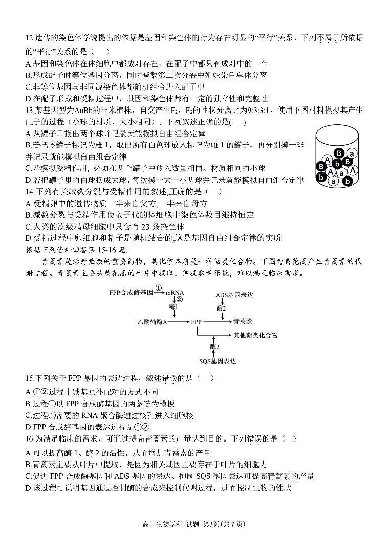 生物-浙江省台金七校联盟2023-2024学年高一下学期4月期中联考试题03