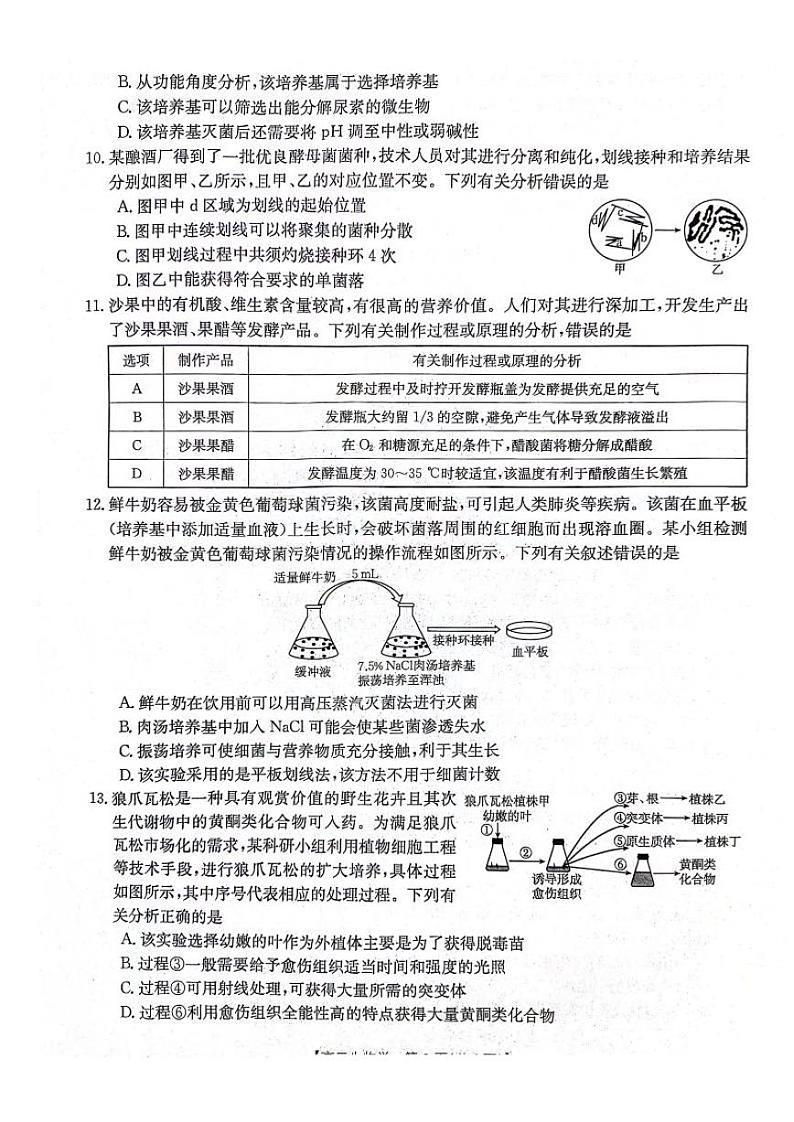 生物-河北省邢台市五岳联盟2023-2024学年高二下期中考试题(407B)03