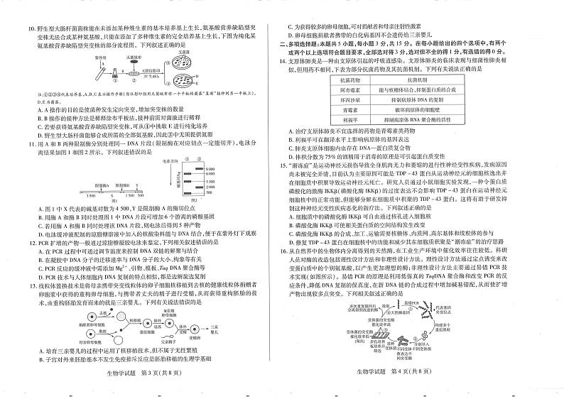 生物-河南省天一大联考南阳市六校2023-2024学年高二下学期期中考试题02