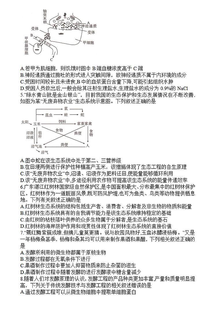 生物-湖南三湘名校教育联盟2023-2024年下学期高二4月期中联考试题第2页