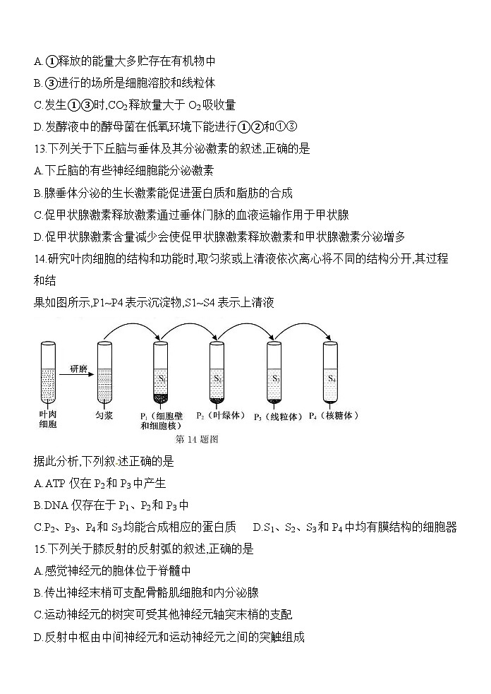 浙江省2020年1月普通高校招生选考科目生物试题含答案03