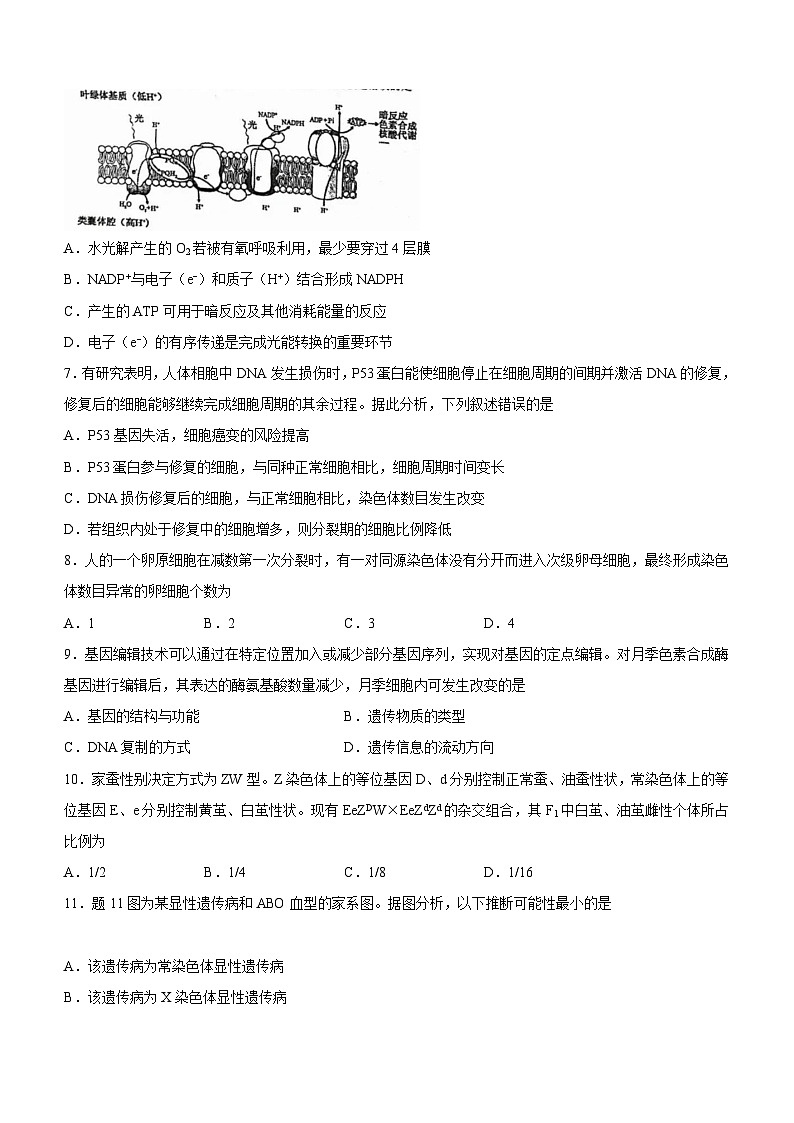 （网络收集版）2021年新高考重庆生物高考真题文档版（无答案）02