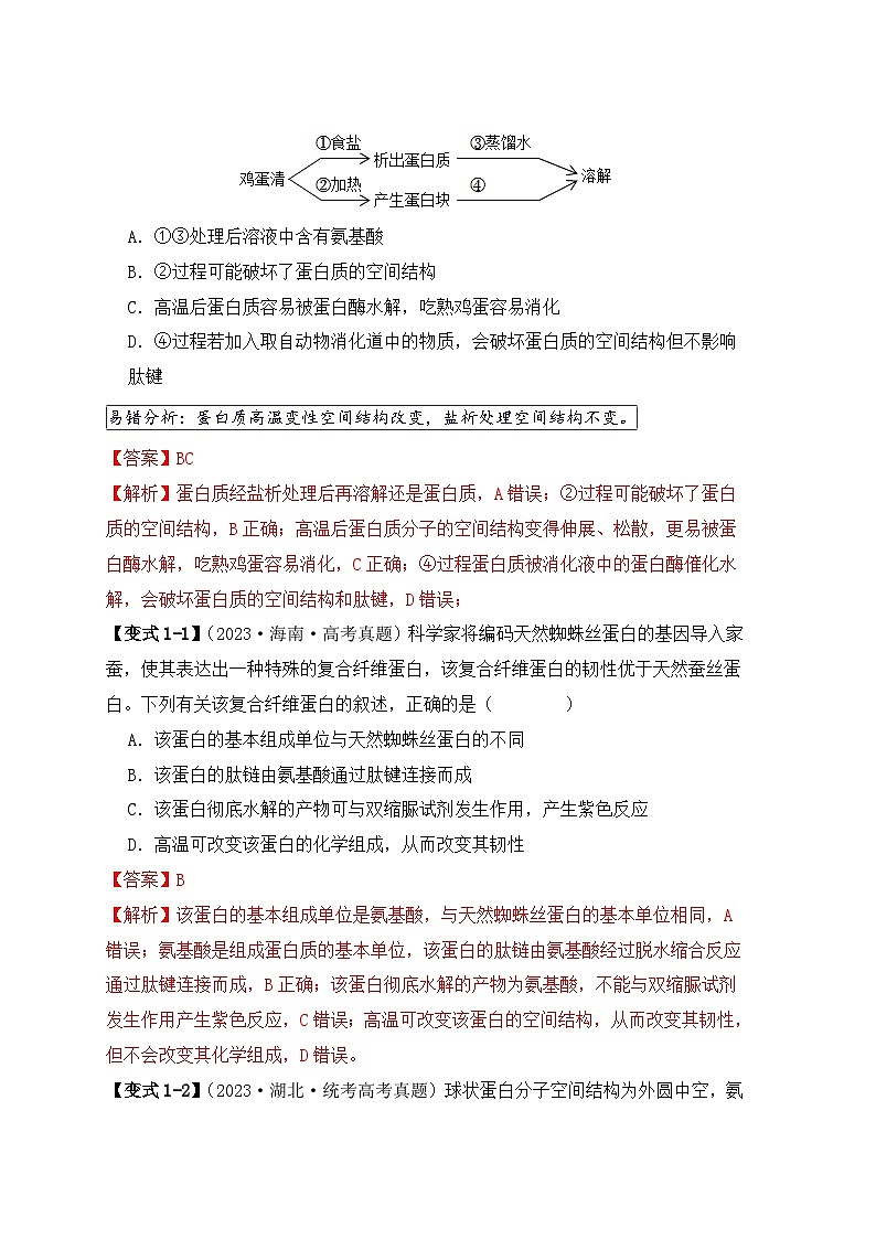新高考生物三轮冲刺易错点02 蛋白质和核酸的三个理解误区（含解析）02