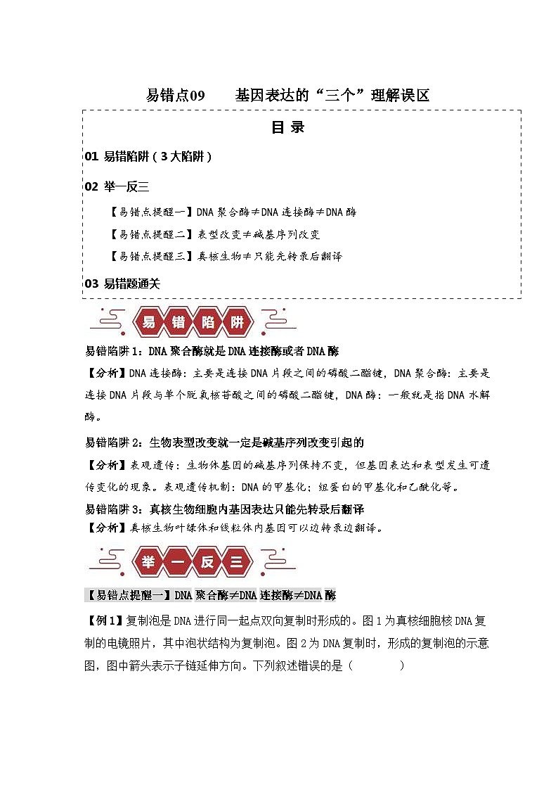 新高考生物三轮冲刺易错点09 基因表达的“三个”理解误区（含解析）第1页