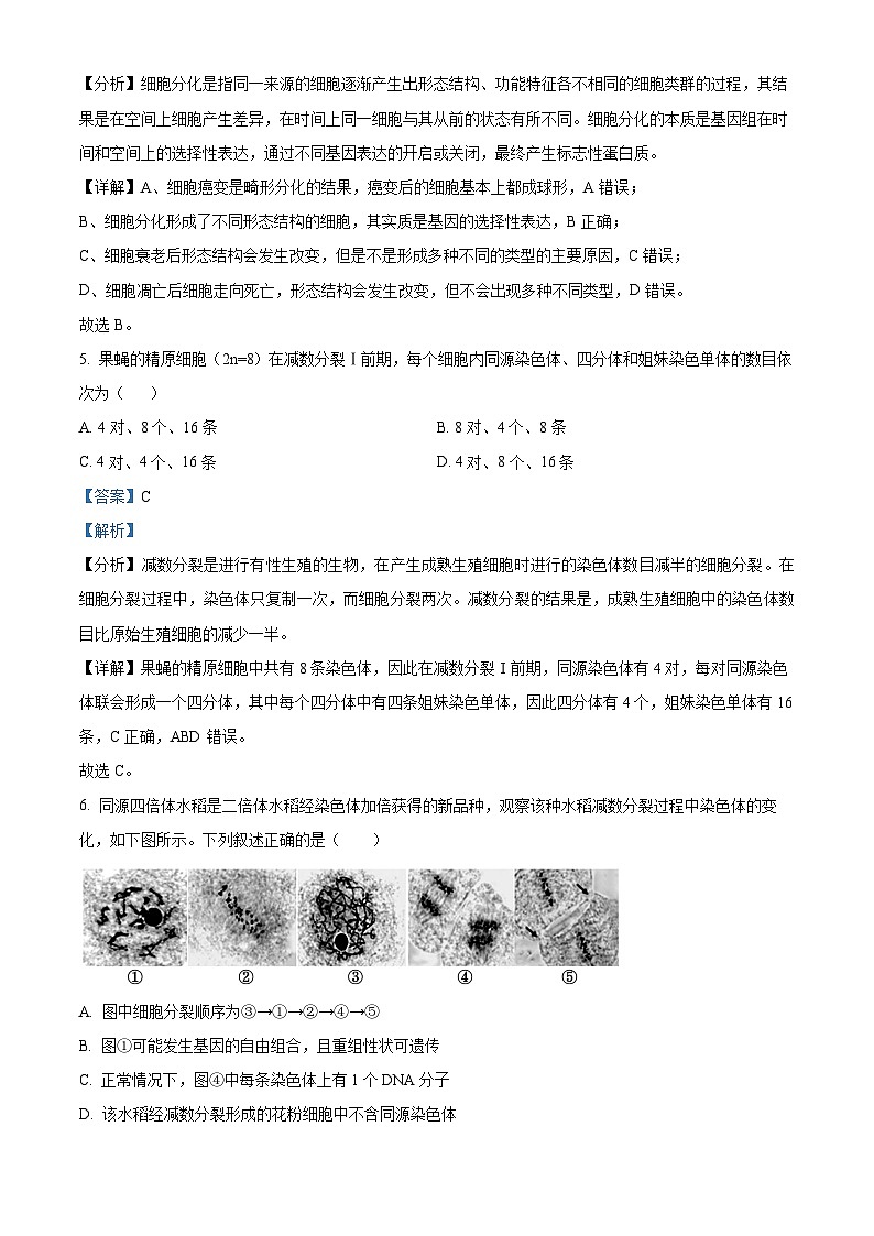 浙江省金兰教育合作组织2023-2024学年高一下学期期中联考生物试卷（Word版附解析）03
