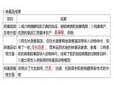 2025届高考 一轮复习 人教版　生物技术的安全性与伦理问题 课件