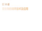 2025届高考 一轮复习 人教版　微生物的培养技术及应用 课件