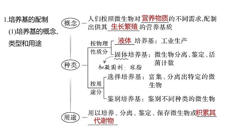 2025届高考 一轮复习 人教版　微生物的培养技术及应用 课件第5页