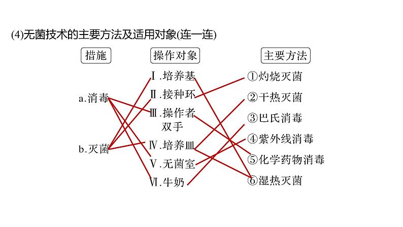 2025届高考 一轮复习 人教版　微生物的培养技术及应用 课件第8页