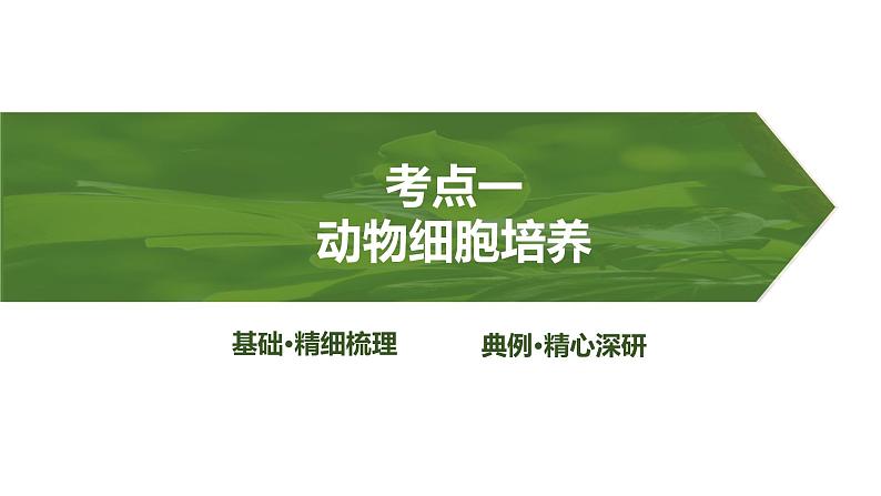 2025届高考 一轮复习 人教版　动物细胞工程 课件第4页