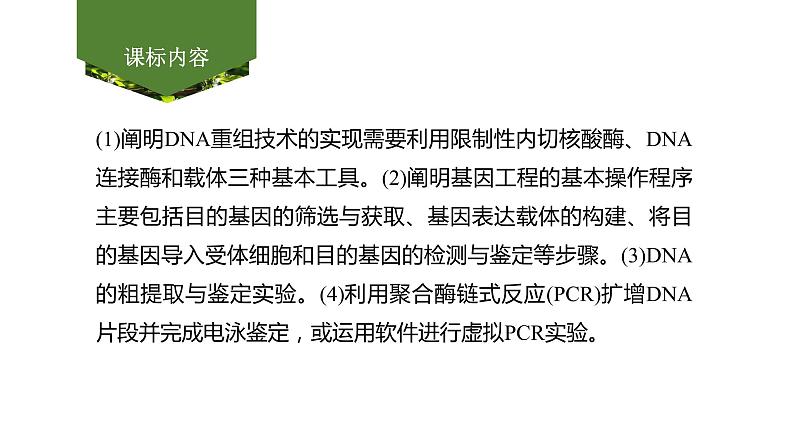 2025届高考 一轮复习 人教版　基因工程的基本工具和基本操作程序 课件02