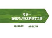2025届高考 一轮复习 人教版　基因工程的基本工具和基本操作程序 课件