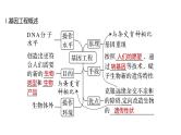 2025届高考 一轮复习 人教版　基因工程的基本工具和基本操作程序 课件