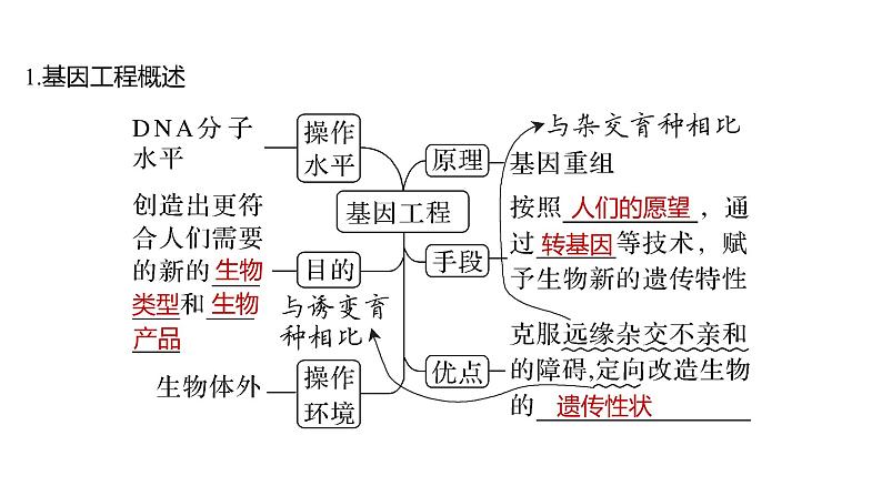 2025届高考 一轮复习 人教版　基因工程的基本工具和基本操作程序 课件05