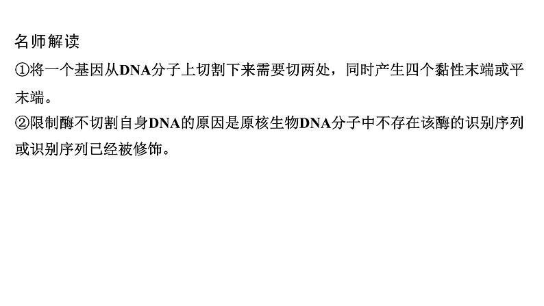 2025届高考 一轮复习 人教版　基因工程的基本工具和基本操作程序 课件08